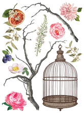 Load image into Gallery viewer, IOD Menagerie IOD Transfer 12x16 Pad Furniture Transfer Rub On Crafts Art by Iron Orchid Designs 8 Sheets Birds Bird Cage Branches Flowers
