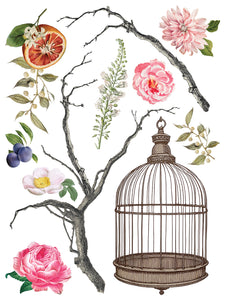 IOD Menagerie IOD Transfer 12x16 Pad Furniture Transfer Rub On Crafts Art by Iron Orchid Designs 8 Sheets Birds Bird Cage Branches Flowers