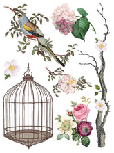 Load image into Gallery viewer, IOD Menagerie IOD Transfer 12x16 Pad Furniture Transfer Rub On Crafts Art by Iron Orchid Designs 8 Sheets Birds Bird Cage Branches Flowers
