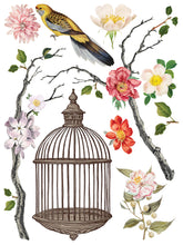 Load image into Gallery viewer, IOD Menagerie IOD Transfer 12x16 Pad Furniture Transfer Rub On Crafts Art by Iron Orchid Designs 8 Sheets Birds Bird Cage Branches Flowers
