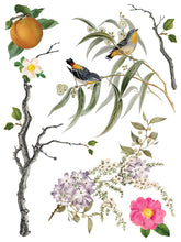 Load image into Gallery viewer, IOD Menagerie IOD Transfer 12x16 Pad Furniture Transfer Rub On Crafts Art by Iron Orchid Designs 8 Sheets Birds Bird Cage Branches Flowers
