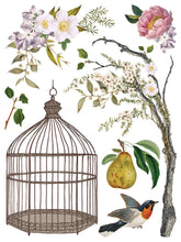 Load image into Gallery viewer, IOD Menagerie IOD Transfer 12x16 Pad Furniture Transfer Rub On Crafts Art by Iron Orchid Designs 8 Sheets Birds Bird Cage Branches Flowers

