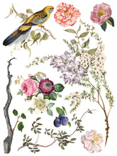 Load image into Gallery viewer, IOD Menagerie IOD Transfer 12x16 Pad Furniture Transfer Rub On Crafts Art by Iron Orchid Designs 8 Sheets Birds Bird Cage Branches Flowers
