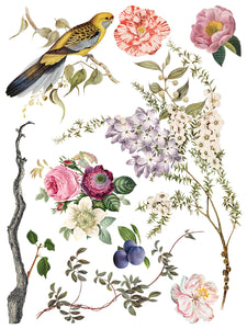 IOD Menagerie IOD Transfer 12x16 Pad Furniture Transfer Rub On Crafts Art by Iron Orchid Designs 8 Sheets Birds Bird Cage Branches Flowers