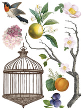 Load image into Gallery viewer, IOD Menagerie IOD Transfer 12x16 Pad Furniture Transfer Rub On Crafts Art by Iron Orchid Designs 8 Sheets Birds Bird Cage Branches Flowers
