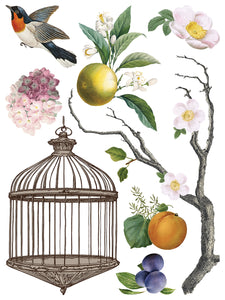 IOD Menagerie IOD Transfer 12x16 Pad Furniture Transfer Rub On Crafts Art by Iron Orchid Designs 8 Sheets Birds Bird Cage Branches Flowers