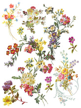Load image into Gallery viewer, IOD Saint Germain IOD Transfer 12x16 Pad Furniture Transfer Rub On Crafts Art by Iron Orchid Designs 8 Sheets Florals and Butterflies
