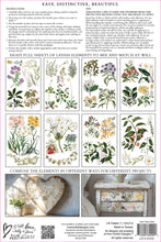 Load image into Gallery viewer, IOD Sarah Featon’s Botanicals IOD Transfer 8x12 Pad Rub On Furniture Crafts Iron Orchid Designs Floral Designs Wildflowers like Daisies
