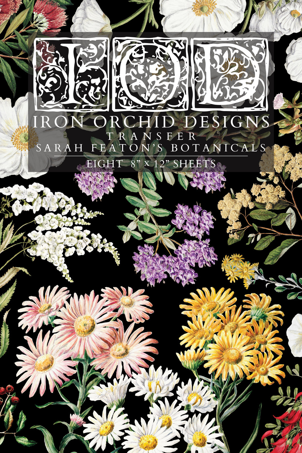 IOD Sarah Featon’s Botanicals IOD Transfer 8x12 Pad Rub On Furniture Crafts Iron Orchid Designs Floral Designs Wildflowers like Daisies