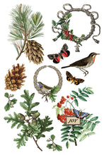 Load image into Gallery viewer, Winter Botanist  IOD Transfer 8x12 Pad Rub On Furniture Crafts Iron Orchid Designs Nature with Greenery Butterflies Birds and More

