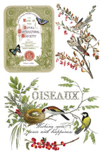 Load image into Gallery viewer, Winter Botanist  IOD Transfer 8x12 Pad Rub On Furniture Crafts Iron Orchid Designs Nature with Greenery Butterflies Birds and More
