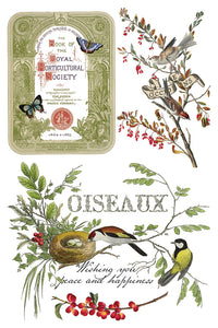 Winter Botanist  IOD Transfer 8x12 Pad Rub On Furniture Crafts Iron Orchid Designs Nature with Greenery Butterflies Birds and More