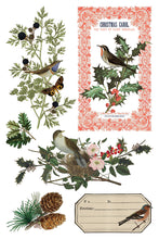 Load image into Gallery viewer, Winter Botanist  IOD Transfer 8x12 Pad Rub On Furniture Crafts Iron Orchid Designs Nature with Greenery Butterflies Birds and More
