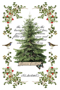 Winter Botanist  IOD Transfer 8x12 Pad Rub On Furniture Crafts Iron Orchid Designs Nature with Greenery Butterflies Birds and More