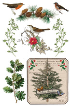 Load image into Gallery viewer, Winter Botanist  IOD Transfer 8x12 Pad Rub On Furniture Crafts Iron Orchid Designs Nature with Greenery Butterflies Birds and More

