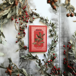 Winter Botanist  IOD Transfer 8x12 Pad Rub On Furniture Crafts Iron Orchid Designs Nature with Greenery Butterflies Birds and More
