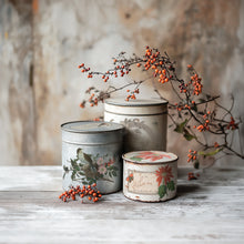 Load image into Gallery viewer, Winter Botanist  IOD Transfer 8x12 Pad Rub On Furniture Crafts Iron Orchid Designs Nature with Greenery Butterflies Birds and More
