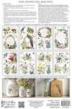 Load image into Gallery viewer, Flora Greca IOD Transfer 8x12 Pad™
