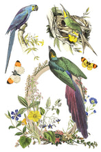 Load image into Gallery viewer, Flora Greca IOD Transfer 8x12 Pad™
