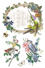 Load image into Gallery viewer, Flora Greca IOD Transfer 8x12 Pad™
