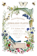 Load image into Gallery viewer, Flora Greca IOD Transfer 8x12 Pad™
