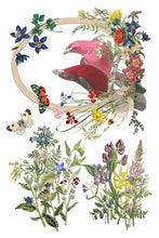 Load image into Gallery viewer, Flora Greca IOD Transfer 8x12 Pad™
