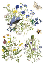 Load image into Gallery viewer, Flora Greca IOD Transfer 8x12 Pad™
