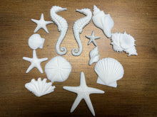 Load image into Gallery viewer, Seashell and Seahorse Resin Castings
