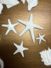 Load image into Gallery viewer, Seashell and Seahorse Resin Castings
