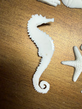 Load image into Gallery viewer, Seashell and Seahorse Resin Castings

