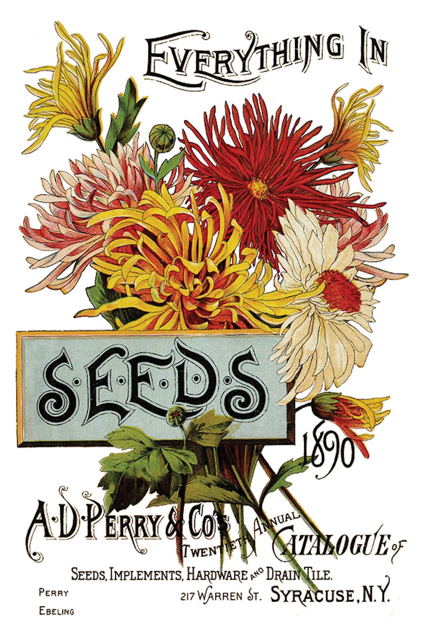 flower seed sheets IOD Decorative Furniture Seed Catalogue Transfer 8" x 12" Pad 8 Sheets – Goodson Vintage Treasures