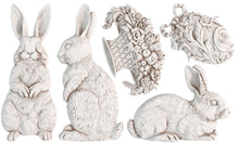 Load image into Gallery viewer, Les Lapins 6x10 IOD Mould™ Bunny Rabbit Mould
