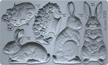 Load image into Gallery viewer, Les Lapins 6x10 IOD Mould™ Bunny Rabbit Mould
