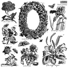 Load image into Gallery viewer, Nature's Etchings 12x12 IOD Stamp 2 Sheets:   Iron Orchid Designs 2 Sheets 12 x 12
