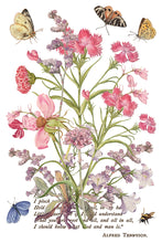 Load image into Gallery viewer, Primrose Isle IOD Transfer Vintage Botanical Floral Transfer Wildflower Furniture Decor Cottage core DIY Rub On Transfer 8x12
