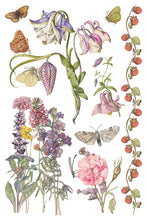 Load image into Gallery viewer, Primrose Isle IOD Transfer Vintage Botanical Floral Transfer Wildflower Furniture Decor Cottage core DIY Rub On Transfer 8x12
