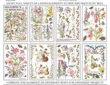 Load image into Gallery viewer, Primrose Isle IOD Transfer Vintage Botanical Floral Transfer Wildflower Furniture Decor Cottage core DIY Rub On Transfer 8x12
