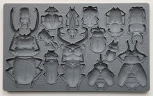 Load image into Gallery viewer, IOD Specimens 6x10 Decor Mould
