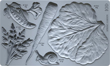 Load image into Gallery viewer, Spring Garden 6x10 IOD Mould™
