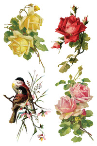 IOD Transfer Catharina Transfer  8" x 12" Pad 8 Sheets Roses Birds Florals