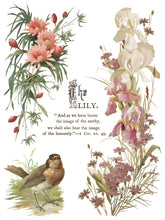 Load image into Gallery viewer, Flowers by the Poets IOD Transfer – 8 Sheets 12x16 – Vintage Botanical Floral Furniture Transfer Decor
