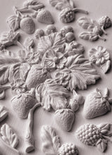 Load image into Gallery viewer, Wild Berries- IOD Decor Furniture Mould 6x10 Iron Orchid Designs Use Clay/Resin for Furniture Jewelry Making Sugar Arts Crafts
