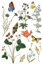 Load image into Gallery viewer, IOD Transfer Wilde Bloemen Transfer  8&quot; x 12&quot; Pad 8 Sheets Spring Wildflowers Botanical Art Insects
