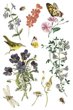 Load image into Gallery viewer, IOD Transfer Wilde Bloemen Transfer  8&quot; x 12&quot; Pad 8 Sheets Spring Wildflowers Botanical Art Insects
