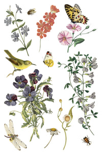 IOD Transfer Wilde Bloemen Transfer  8" x 12" Pad 8 Sheets Spring Wildflowers Botanical Art Insects