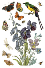 Load image into Gallery viewer, IOD Transfer Wilde Bloemen Transfer  8&quot; x 12&quot; Pad 8 Sheets Spring Wildflowers Botanical Art Insects
