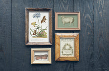 Load image into Gallery viewer, IOD Frames 6x10 Decor Moulds - Perfect for Clay or Resin
