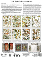 Load image into Gallery viewer, IOD Decorative Furniture Transfer Millot&#39;s Pages 16&quot; x 12&quot; Pad 8 Sheets More Also for Craft Projects
