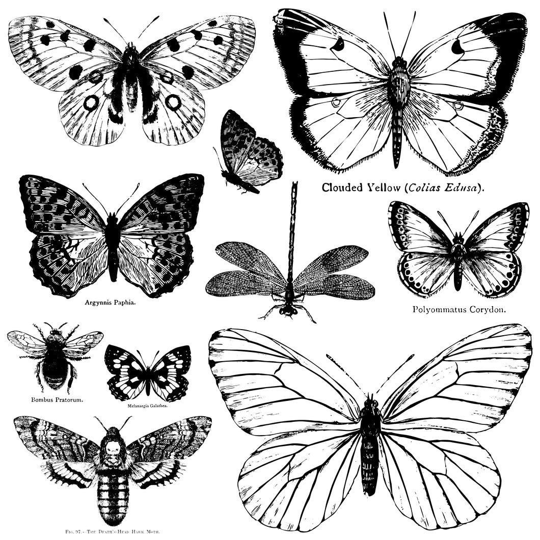 IOD Butterflies 12x12 Decor Stamp
