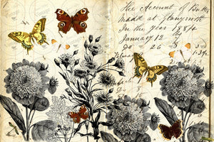 JRV Decoupage Paper - Monarchromatic Butterflies and Flowers